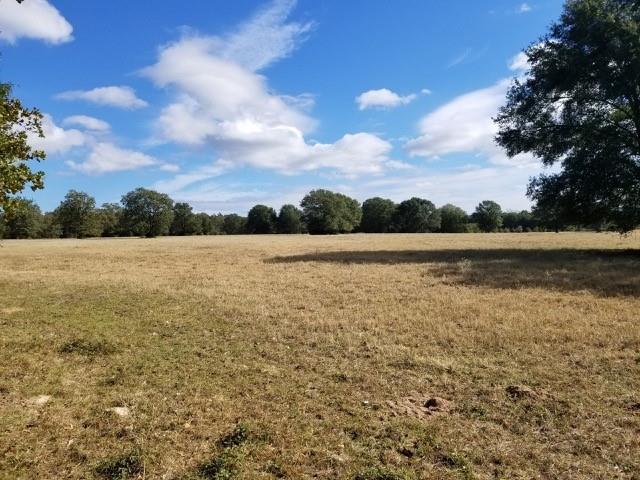 6526 Owensville Cemetery Road, Franklin, Texas image 5