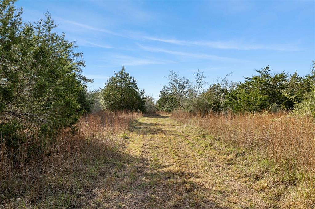 6735 Old Smithville Road Rd, Flatonia, Texas image 14
