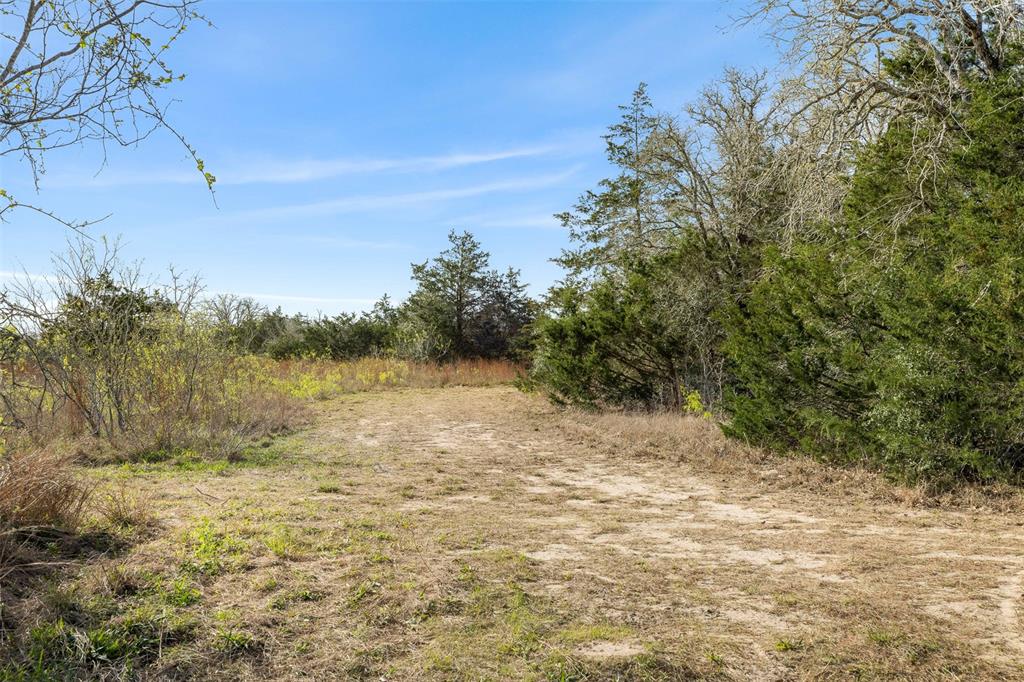 6735 Old Smithville Road Rd, Flatonia, Texas image 4