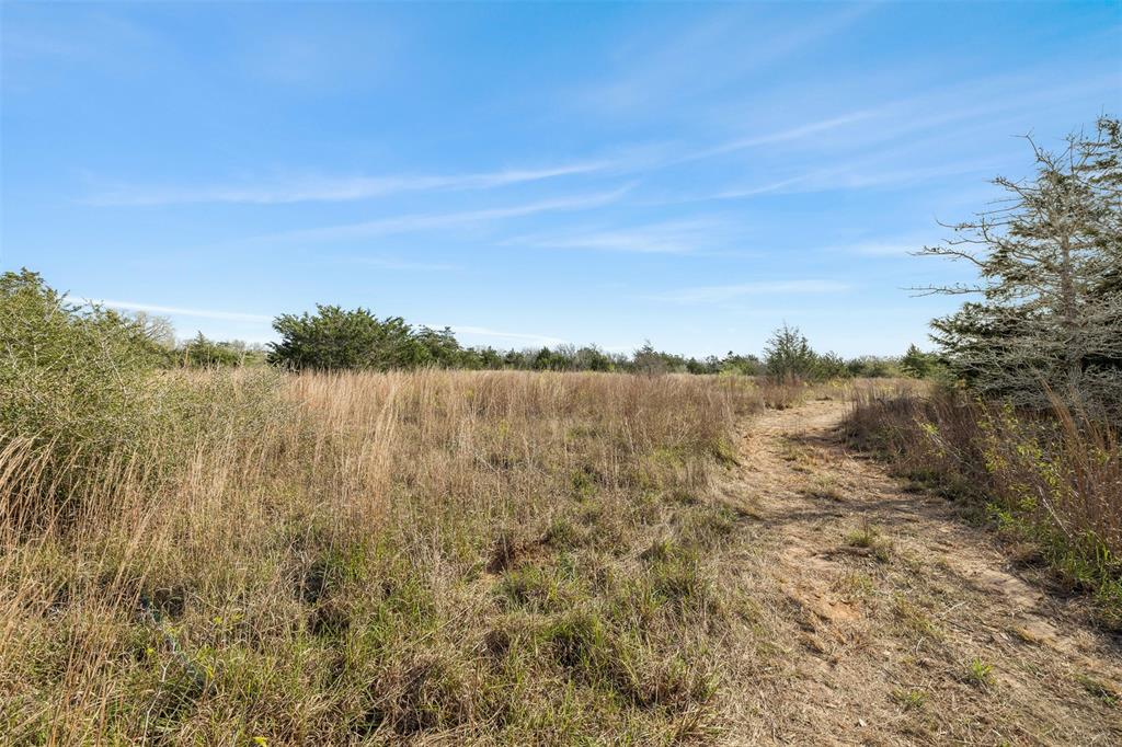 6735 Old Smithville Road Rd, Flatonia, Texas image 13
