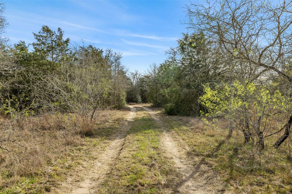 6735 Old Smithville Road Rd, Flatonia, Texas image 3