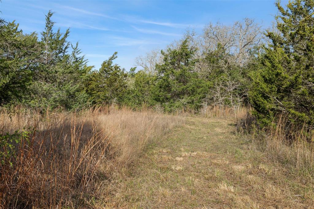 6735 Old Smithville Road Rd, Flatonia, Texas image 12