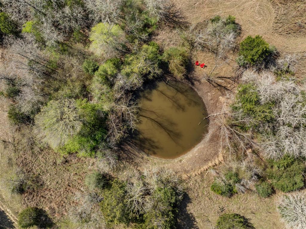 6735 Old Smithville Road Rd, Flatonia, Texas image 24