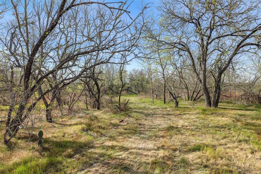 6735 Old Smithville Road Rd, Flatonia, Texas image 2