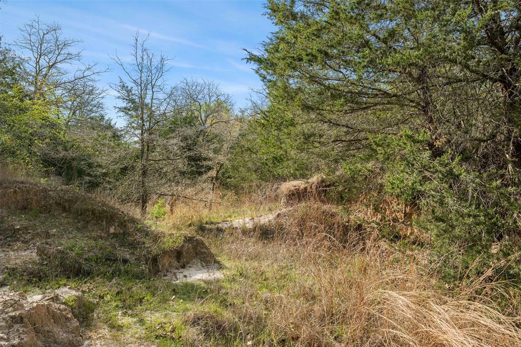 6735 Old Smithville Road Rd, Flatonia, Texas image 16
