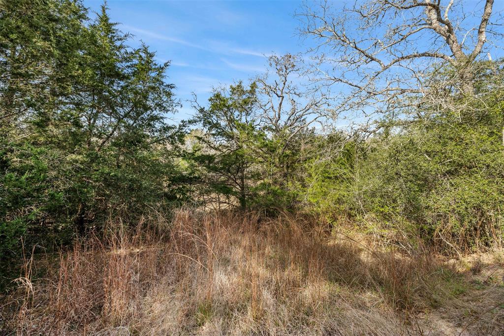 6735 Old Smithville Road Rd, Flatonia, Texas image 15