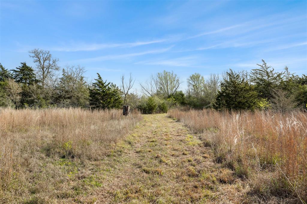 6735 Old Smithville Road Rd, Flatonia, Texas image 10