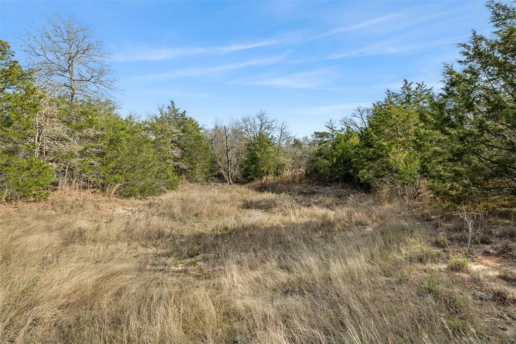 6735 Old Smithville Road Rd, Flatonia, Texas image 17
