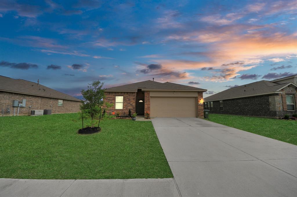 217 Kickapoo Drive, Anahuac, Texas image 1
