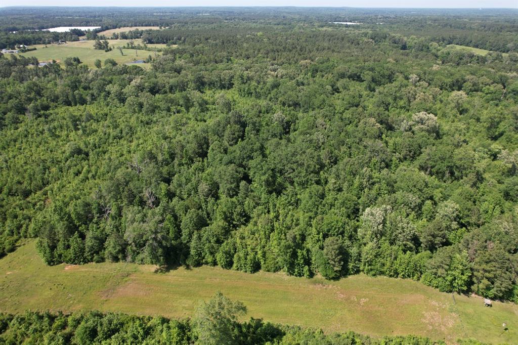 TBD-E County Road 4021, Timpson, Texas image 4