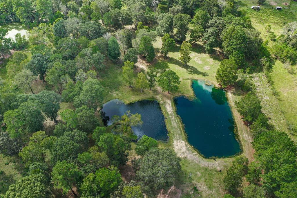 18388 Cooper Road, Conroe, Texas image 47
