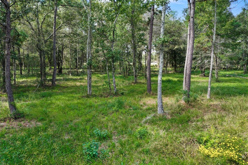 18388 Cooper Road, Conroe, Texas image 50