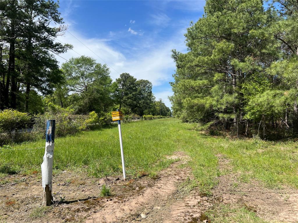 Tract 3 English Road, Bedias, Texas image 7