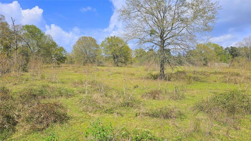 TBD County Road 1035, Crockett, Texas image 5
