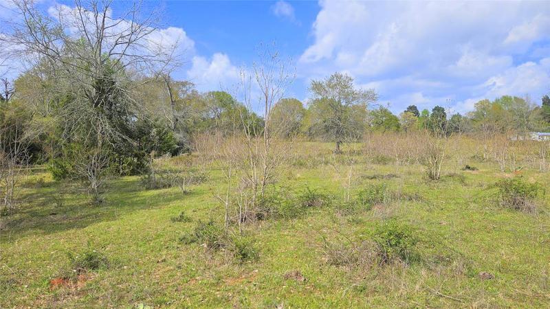 TBD County Road 1035, Crockett, Texas image 4