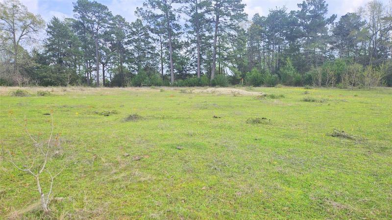 TBD County Road 1035, Crockett, Texas image 3