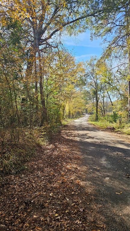 TBD Guinea Road, Oakhurst, Texas image 3