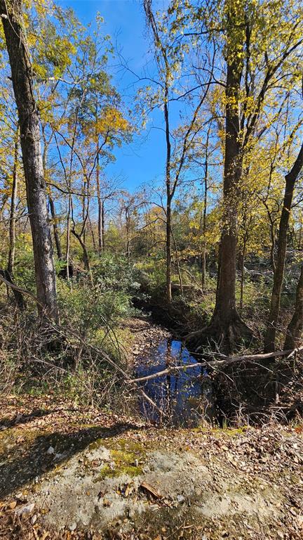 TBD Guinea Road, Oakhurst, Texas image 2