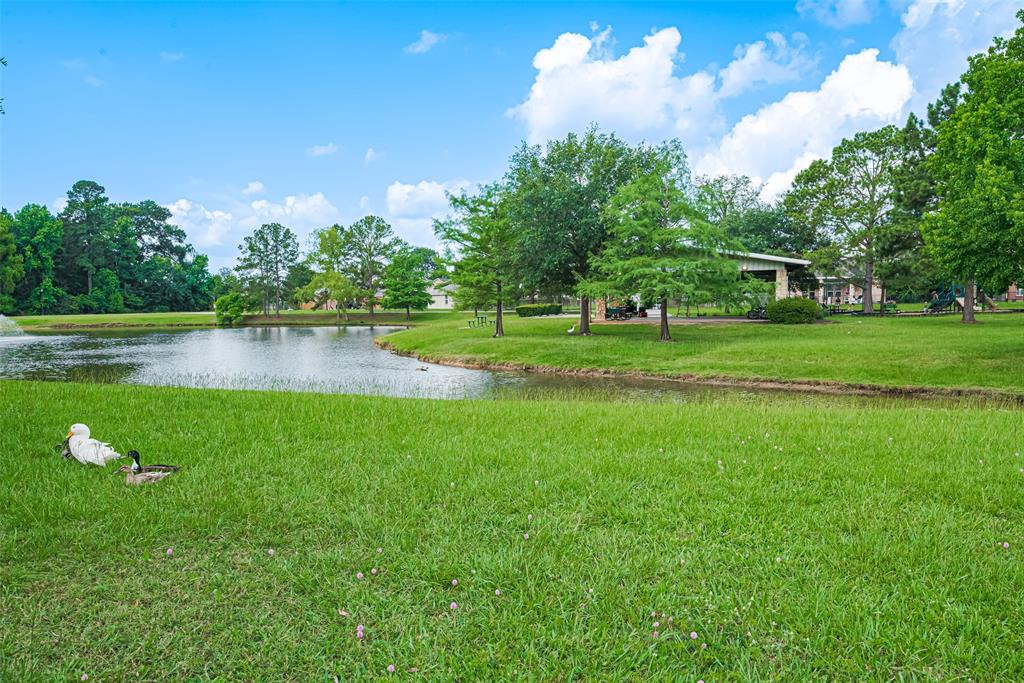 723 Hinsdale, Magnolia, Texas image 44