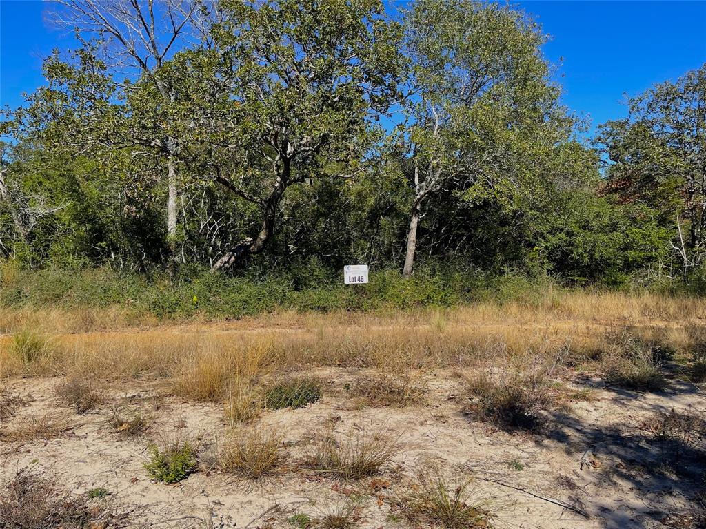 3803 Pr 4174, Marquez, Texas image 13