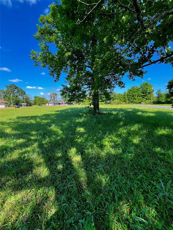 205 County Road 2271, Cleveland, Texas image 2