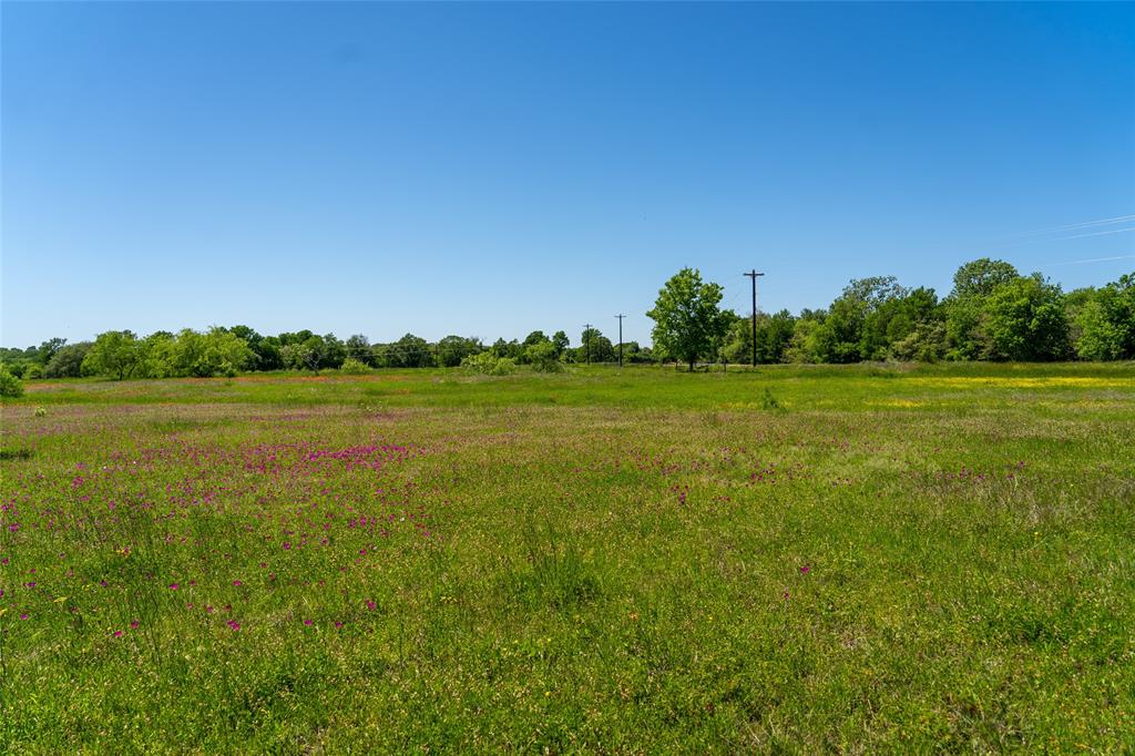 Lot 30A Brazos Court, Caldwell, Texas image 4