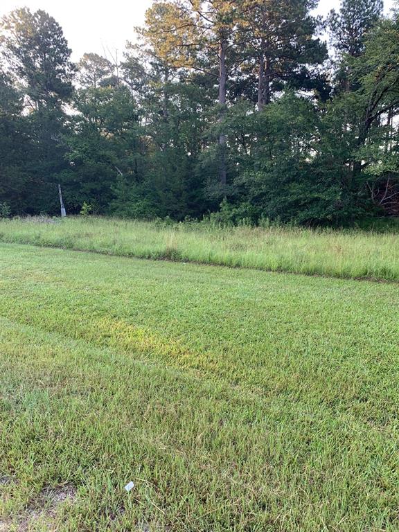 LOT 198 Driftwood Shores, Port Lavaca, Texas image 6