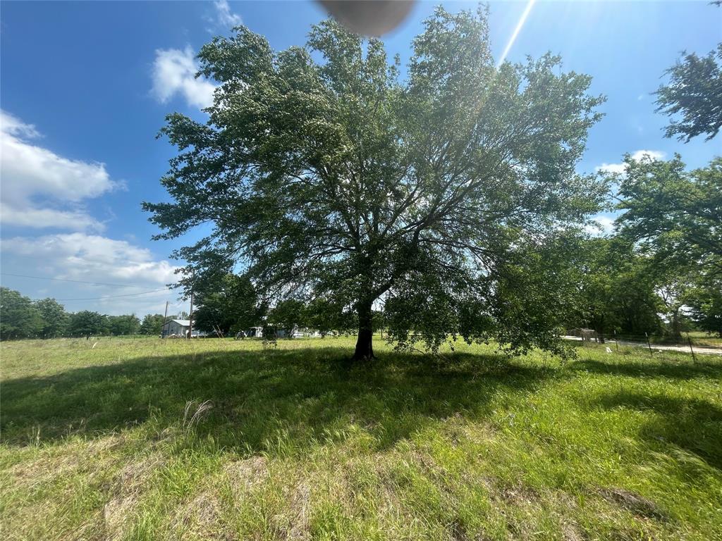 14472 County Road 229, Bedias, Texas image 7