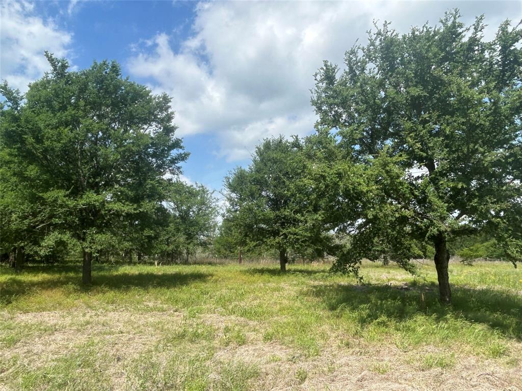 14472 County Road 229, Bedias, Texas image 14