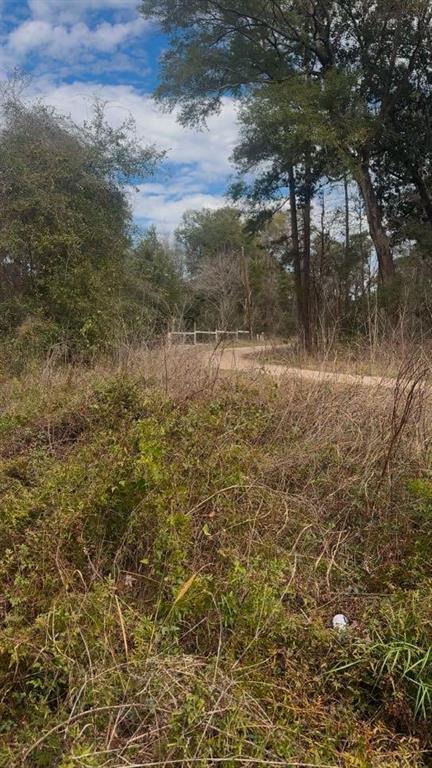 Big Foot Wallace Trail, Livingston, Texas image 6