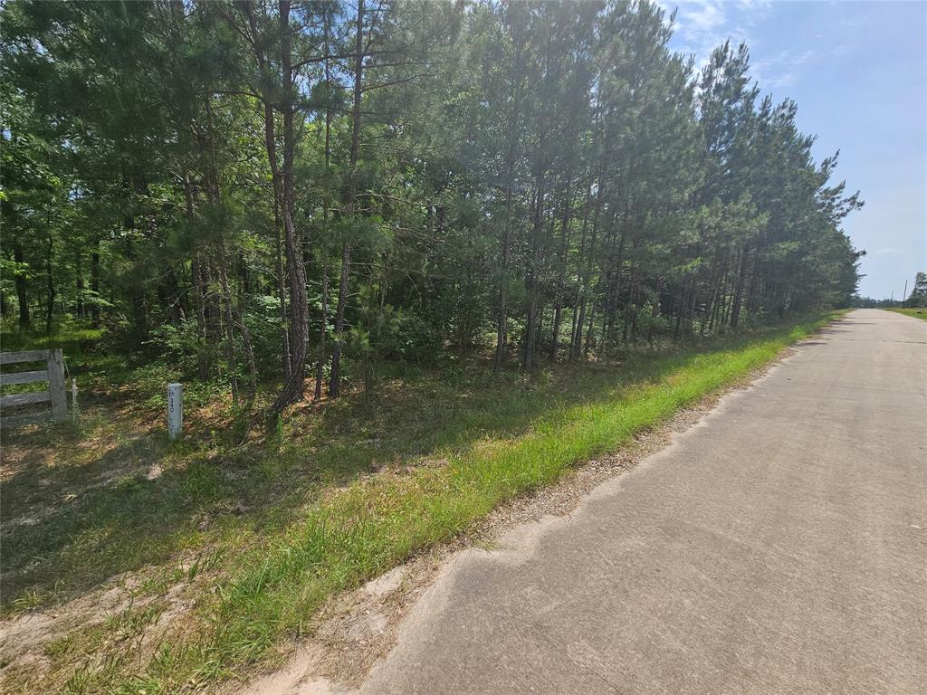 TBD Big Buck DR Drive