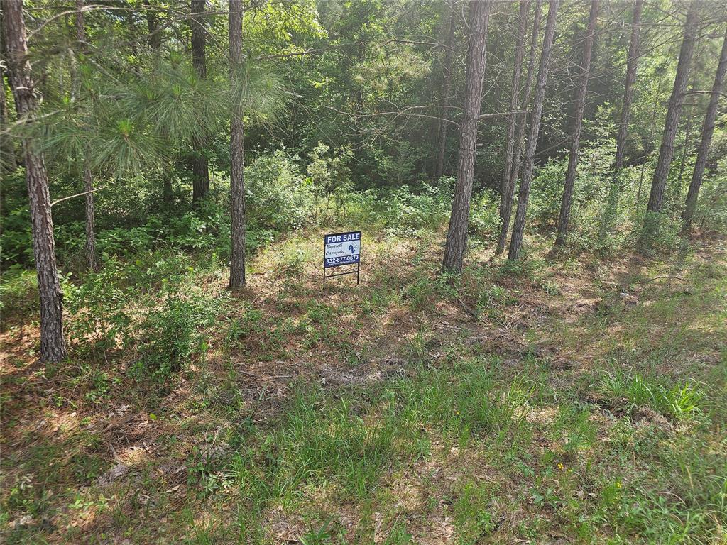 TBD Big Buck DR Drive