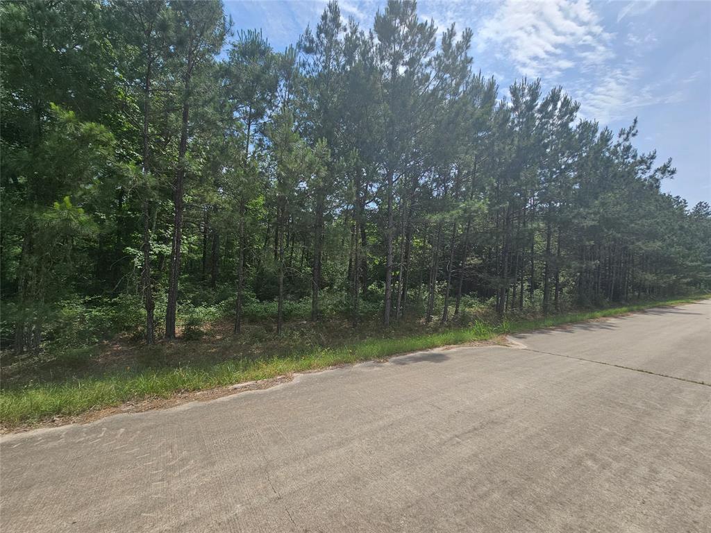 TBD Big Buck DR Drive