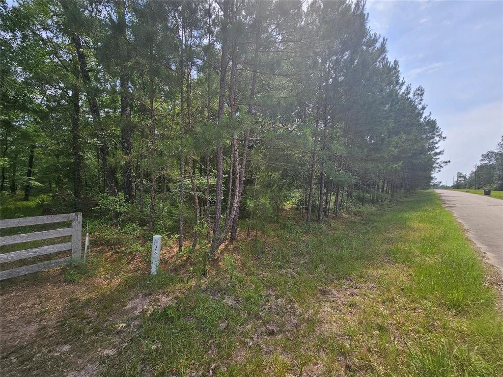 TBD Big Buck DR Drive