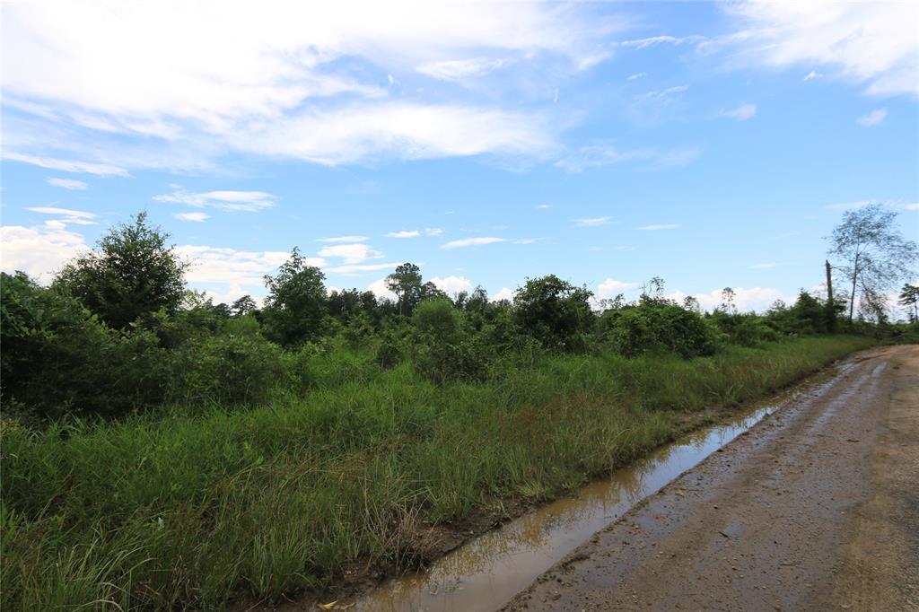 TBD County Road 3089, Kirbyville, Texas image 6