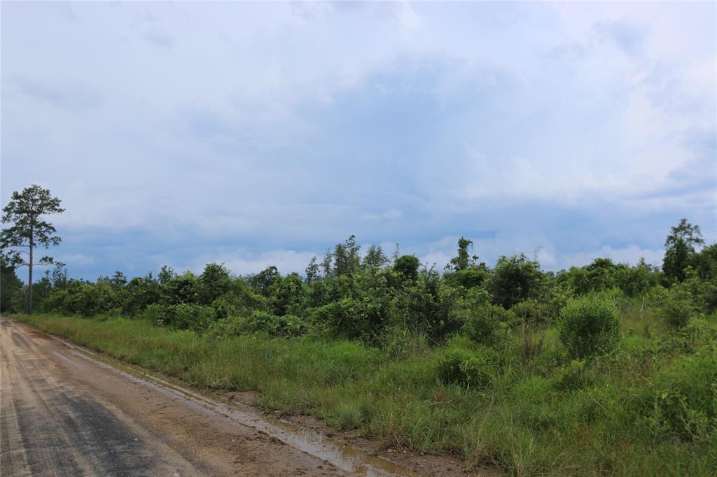 TBD County Road 3089, Kirbyville, Texas image 14