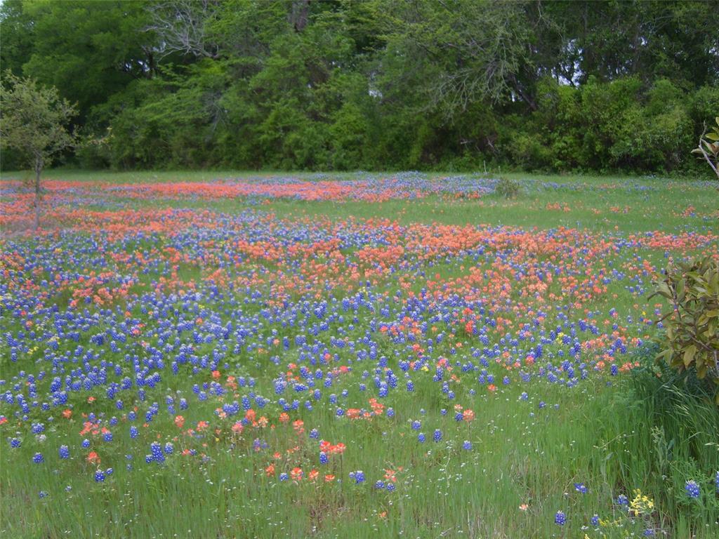 800 Archie Lane, Belton, Texas image 32