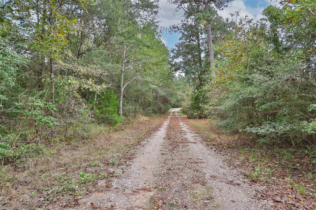 17008 E Fm 1097 Road