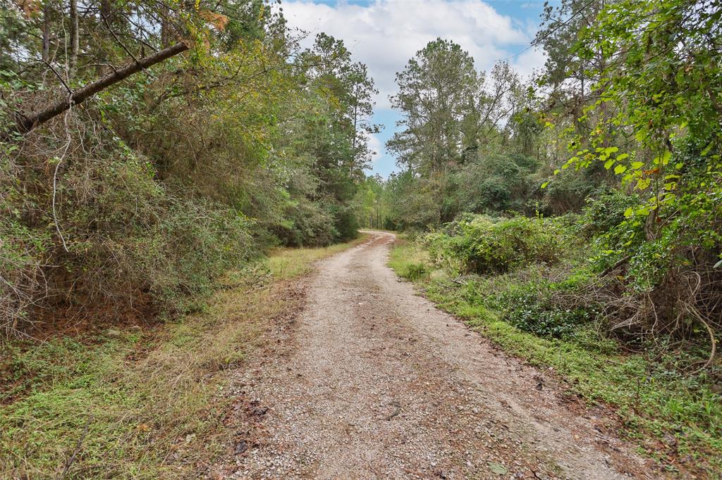 17008 E Fm 1097 Road