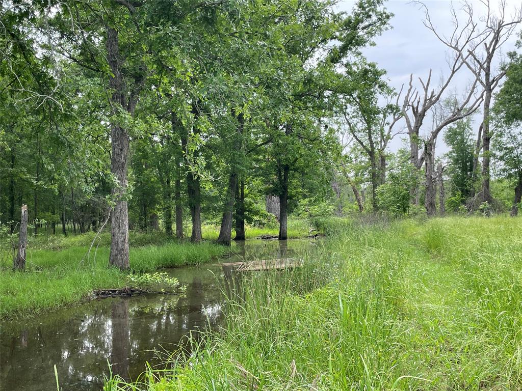 8316 Pr 1440, Centerville, Texas image 18