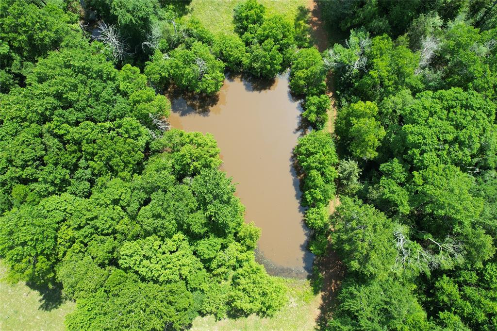 535 County Road 1710, Grapeland, Texas image 31