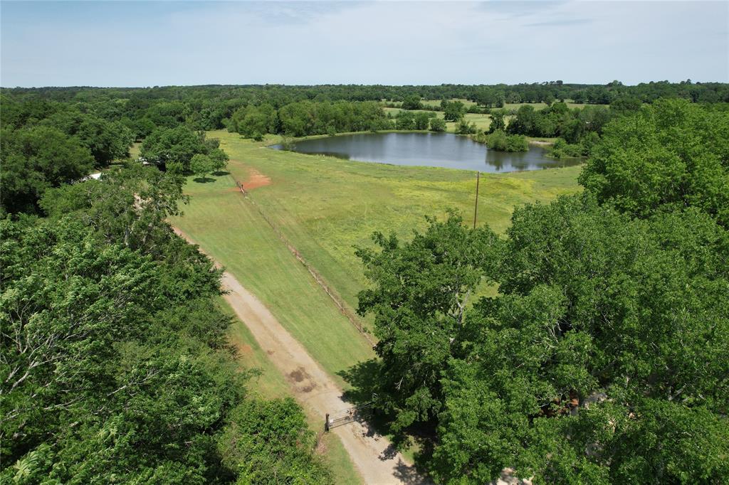 535 County Road 1710, Grapeland, Texas image 25