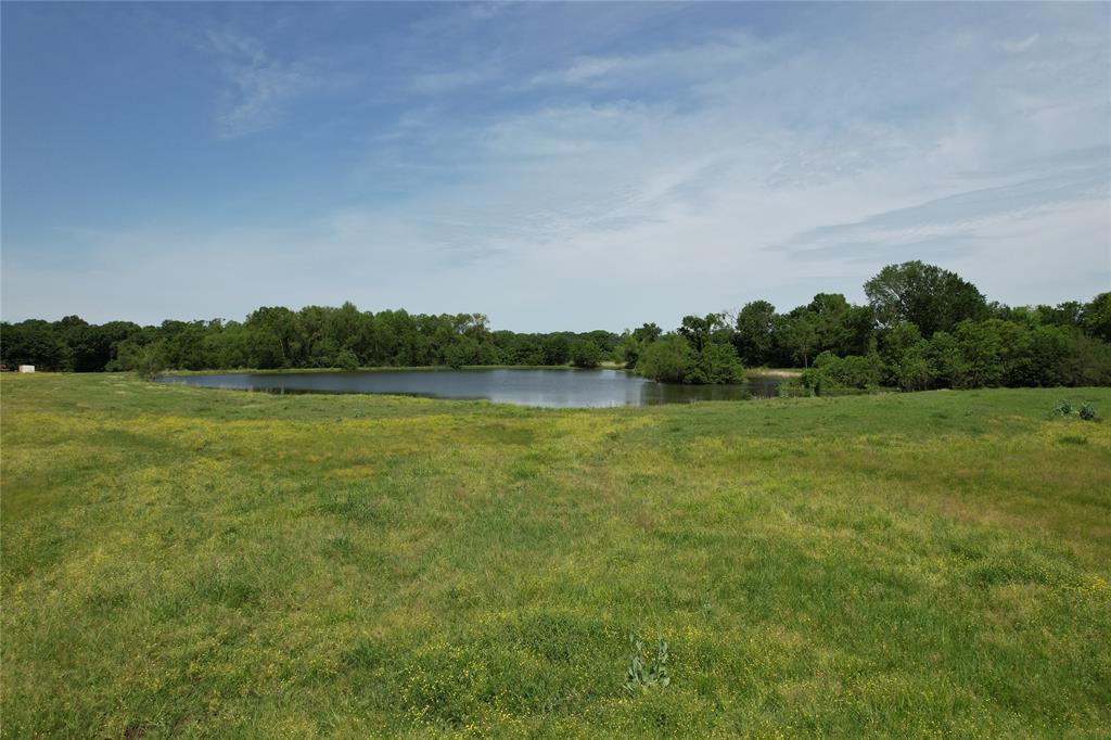 535 County Road 1710, Grapeland, Texas image 34