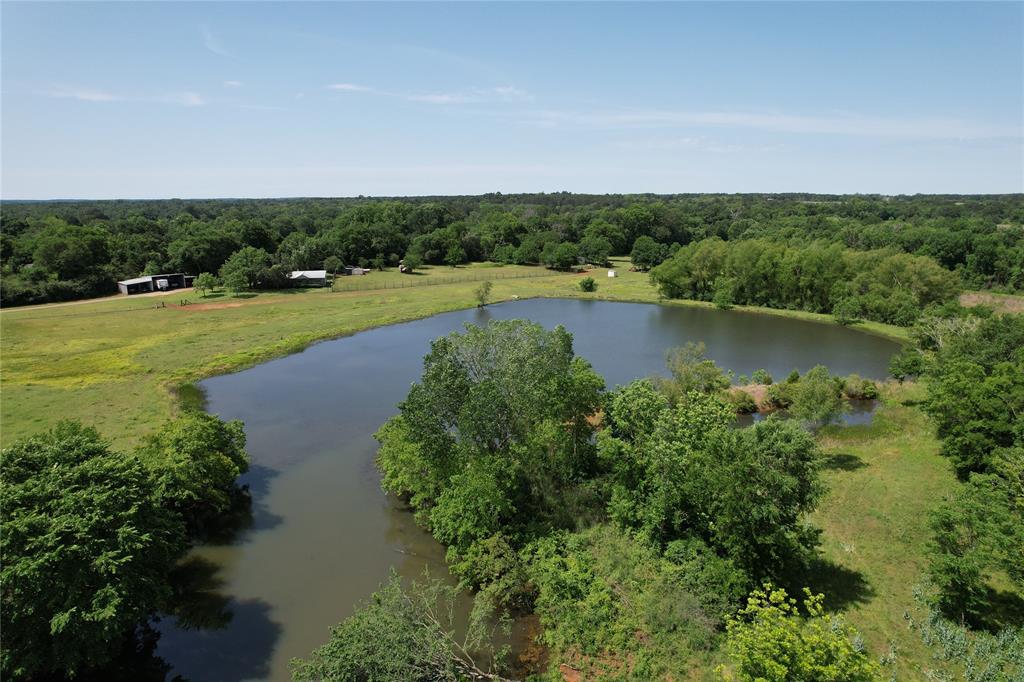 535 County Road 1710, Grapeland, Texas image 26