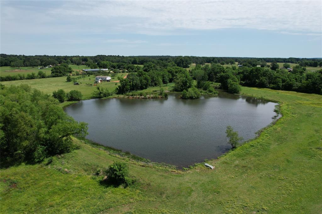 535 County Road 1710, Grapeland, Texas image 27