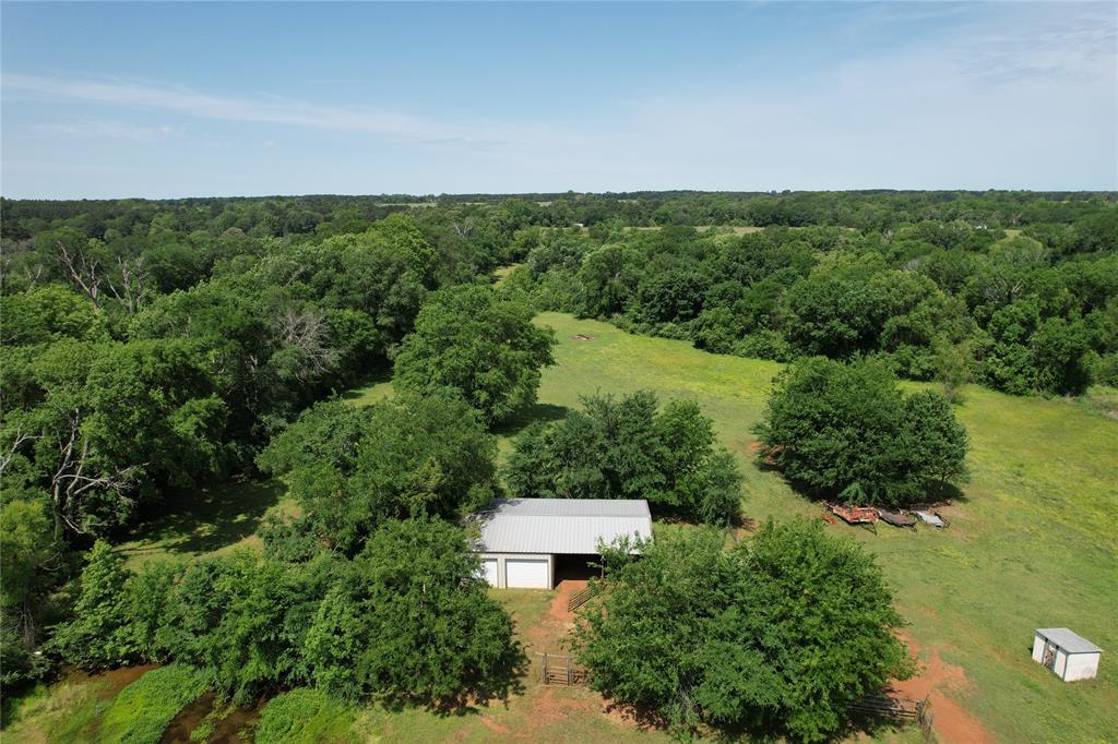 535 County Road 1710, Grapeland, Texas image 33