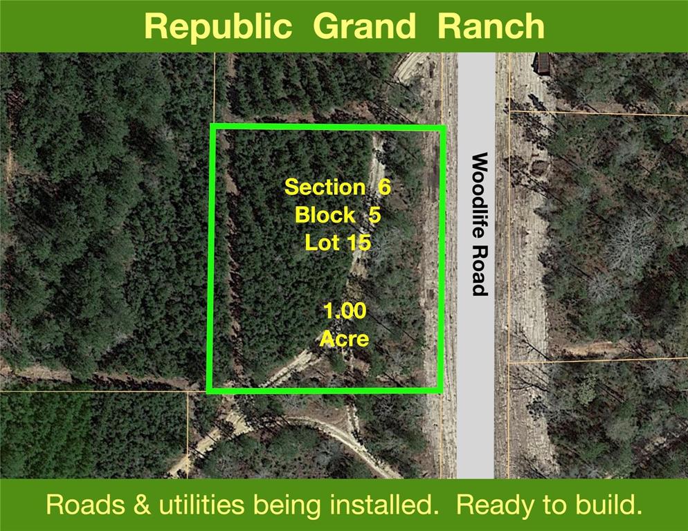 15723 Woodlife Road, Willis, Texas image 1