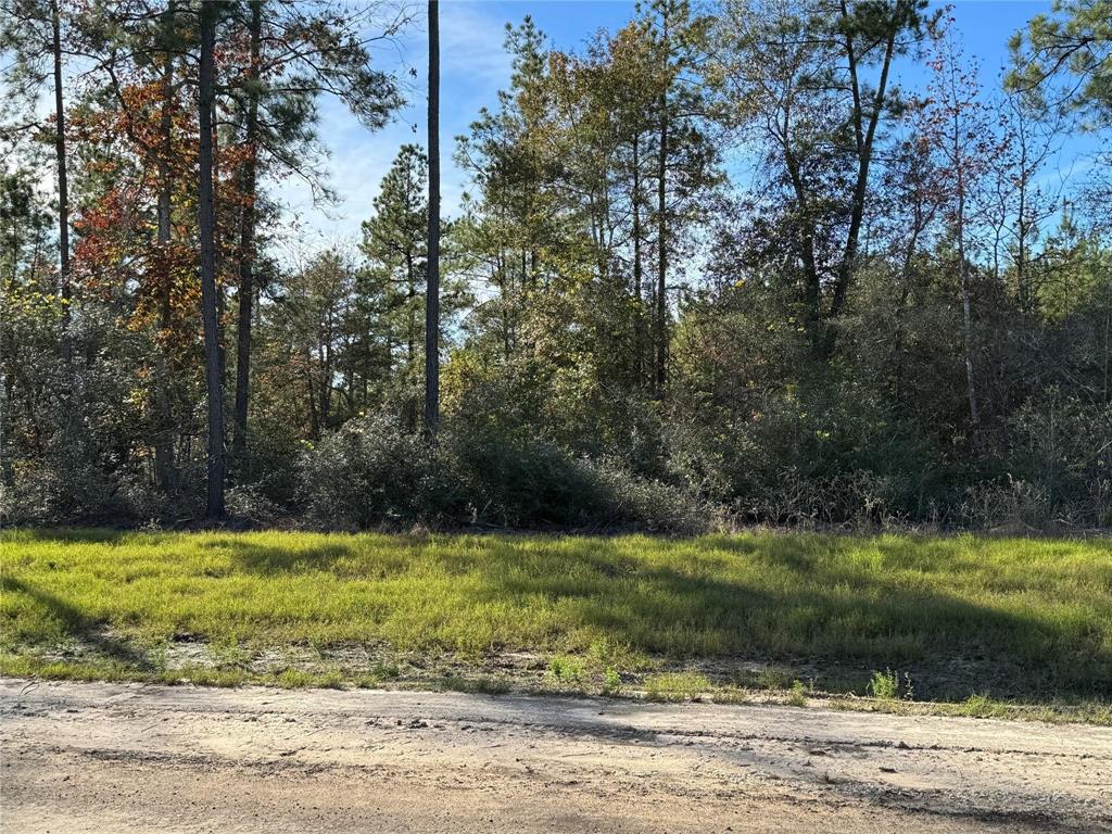 15723 Woodlife Road, Willis, Texas image 8