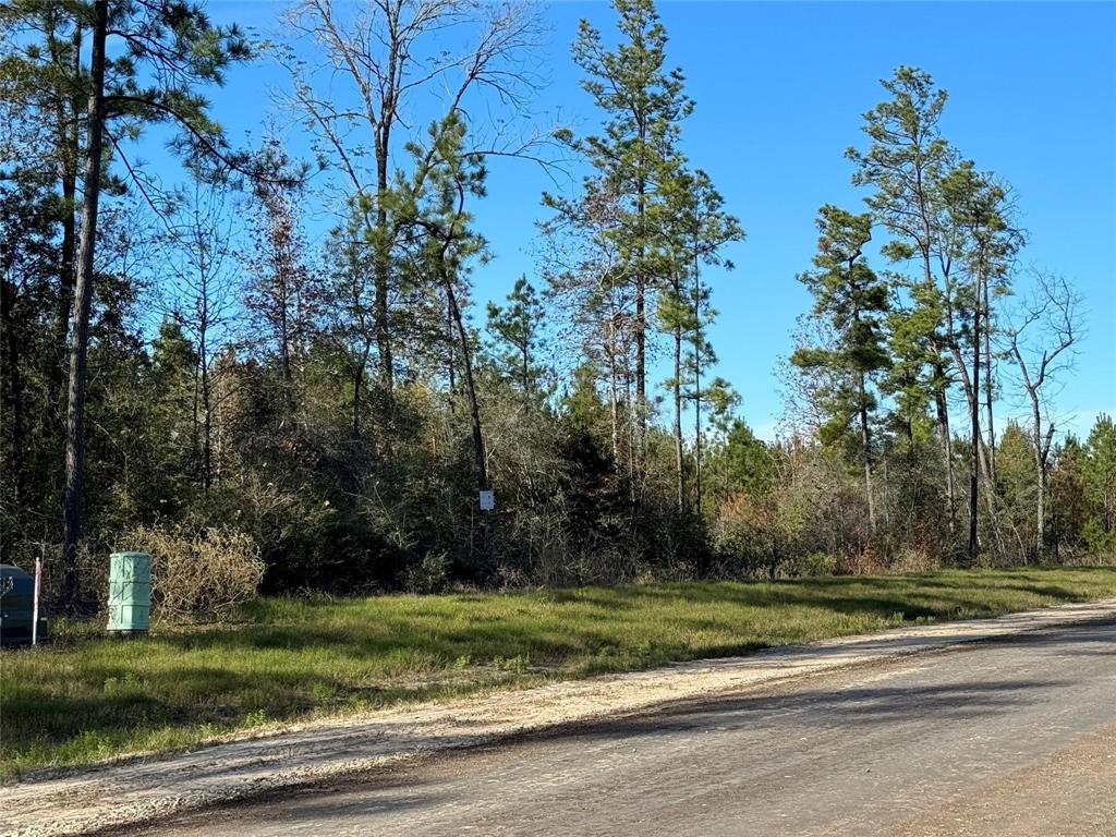15723 Woodlife Road, Willis, Texas image 9