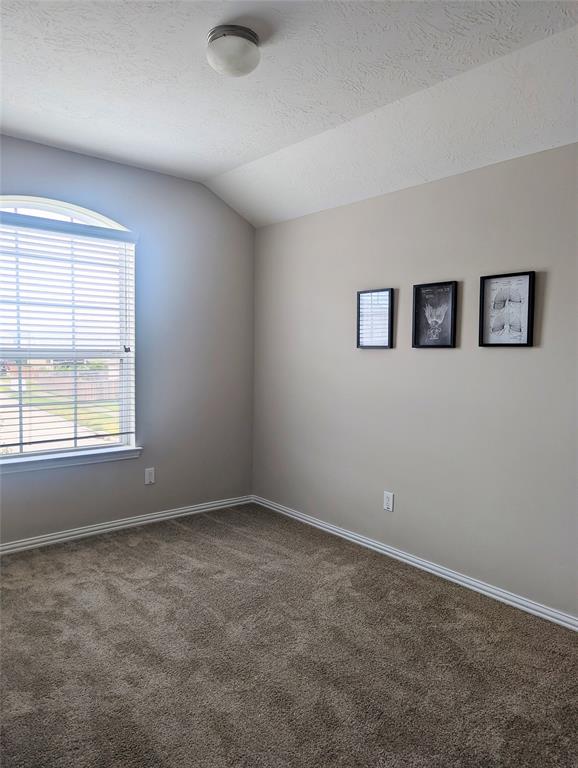 10718 Wall Fern Way, Houston, Texas image 45